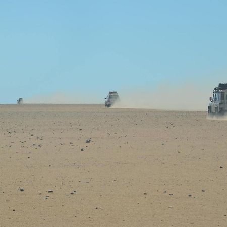Siwa Paradise Siwa Oasis Εξωτερικό φωτογραφία