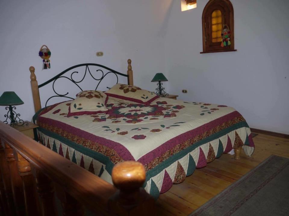 Siwa Paradise Siwa Oasis Εξωτερικό φωτογραφία
