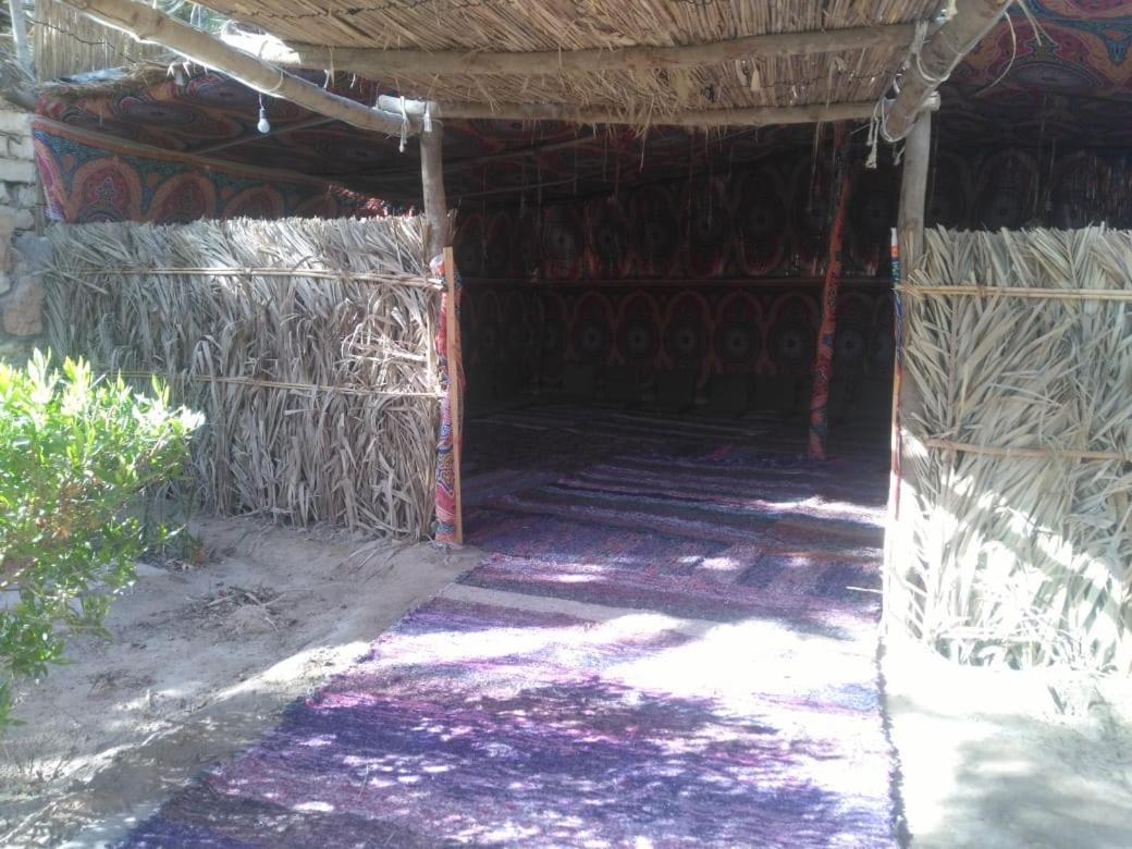 Siwa Paradise Siwa Oasis Εξωτερικό φωτογραφία
