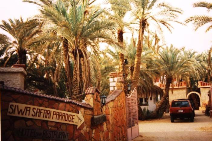 Siwa Paradise Siwa Oasis Εξωτερικό φωτογραφία