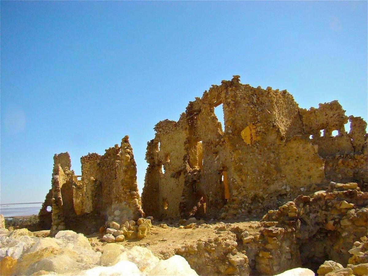 Siwa Paradise Siwa Oasis Εξωτερικό φωτογραφία