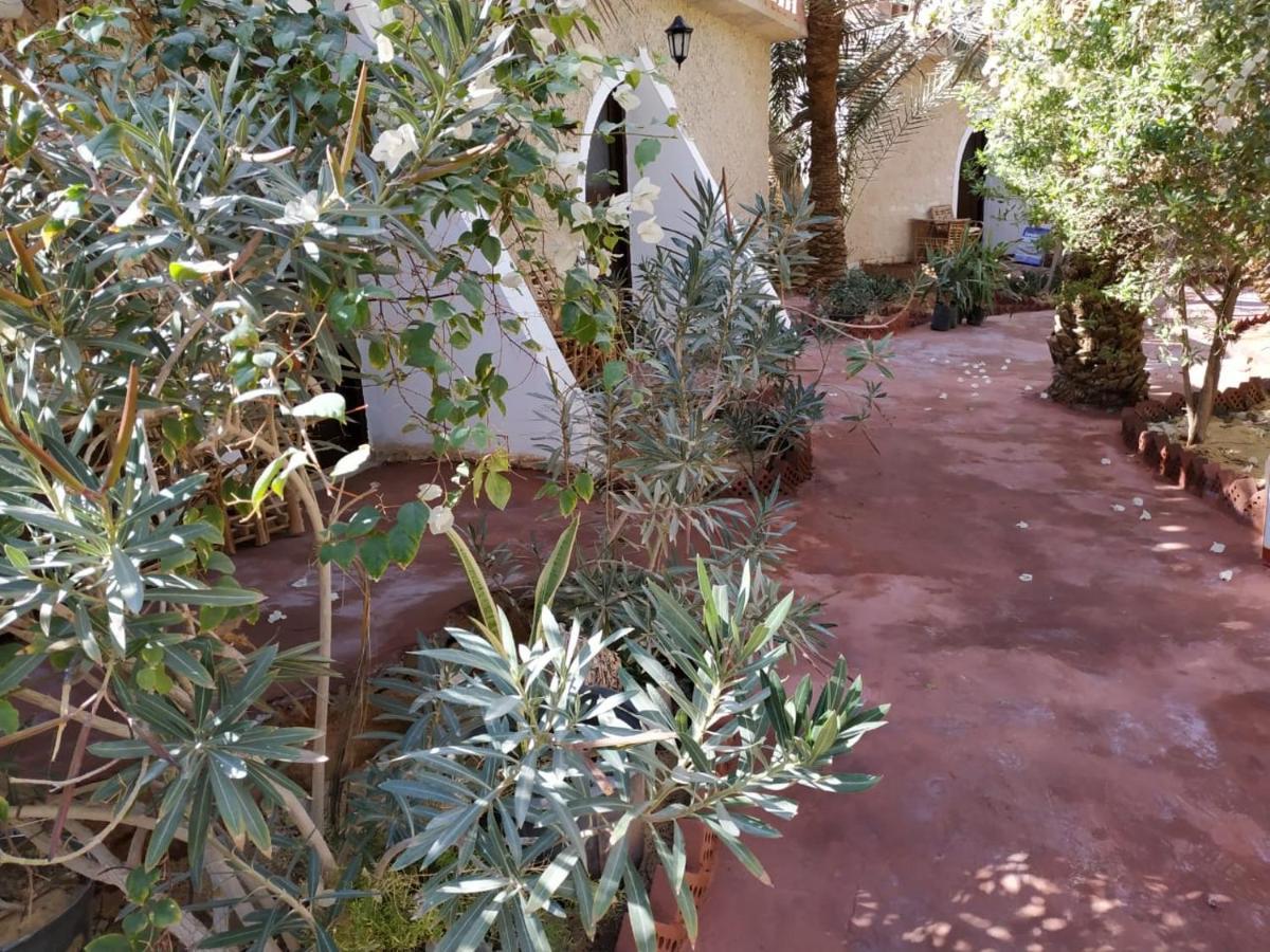 Siwa Paradise Siwa Oasis Εξωτερικό φωτογραφία