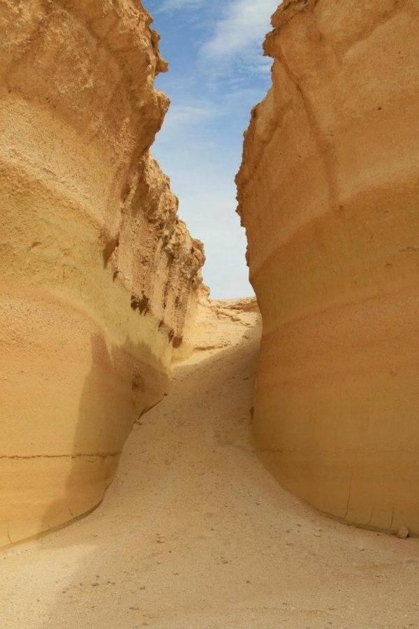Siwa Paradise Siwa Oasis Εξωτερικό φωτογραφία