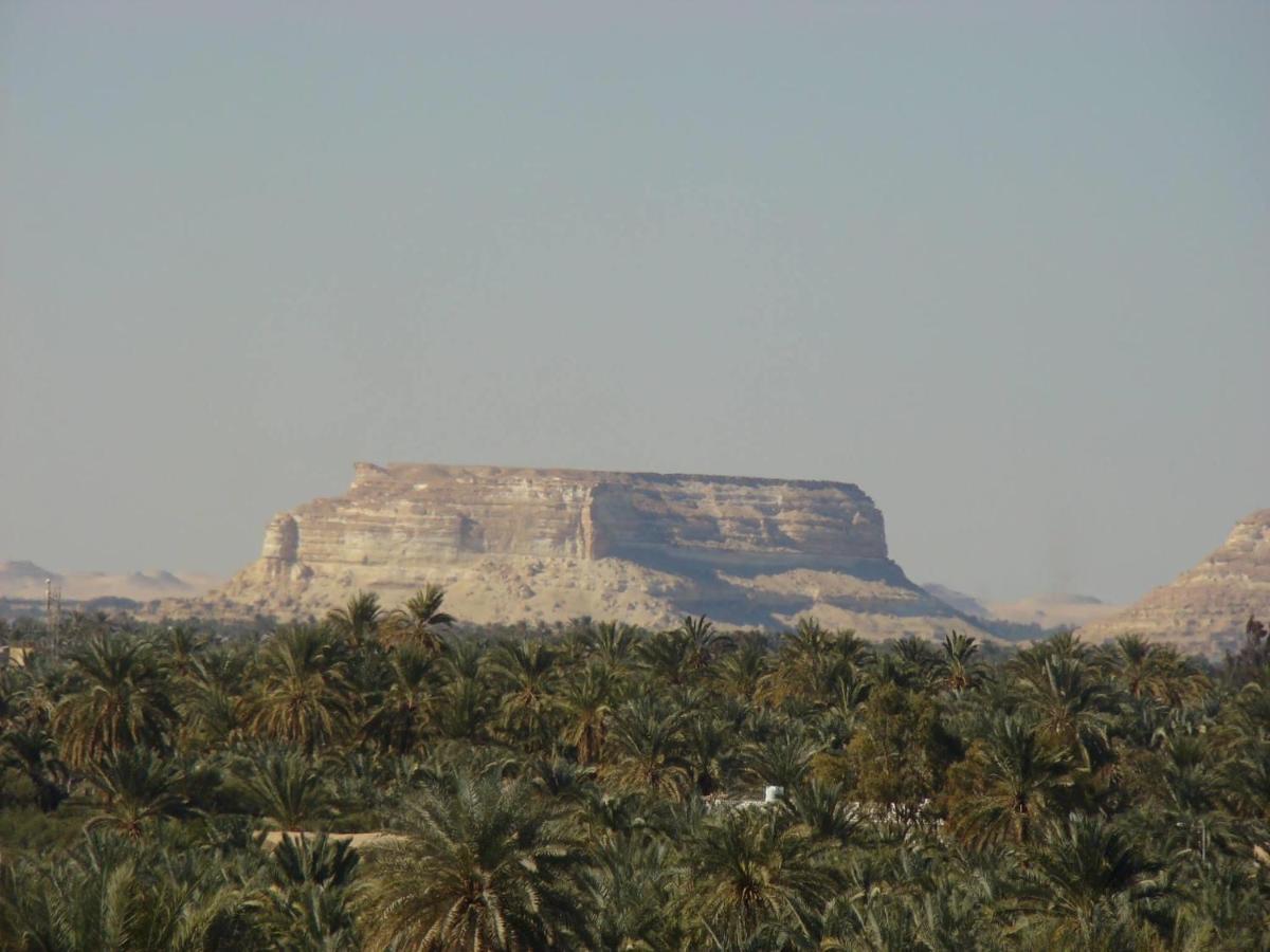 Siwa Paradise Siwa Oasis Εξωτερικό φωτογραφία
